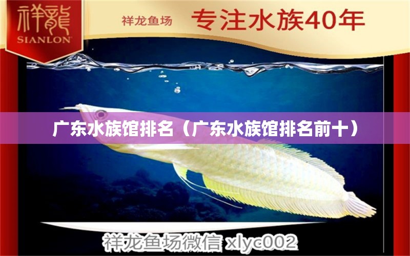 广东水族馆排名（广东水族馆排名前十） 广州水族批发市场