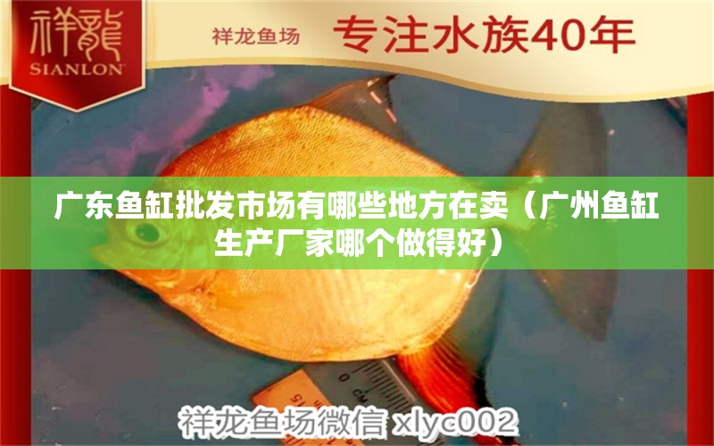 广东鱼缸批发市场有哪些地方在卖（广州鱼缸生产厂家哪个做得好）