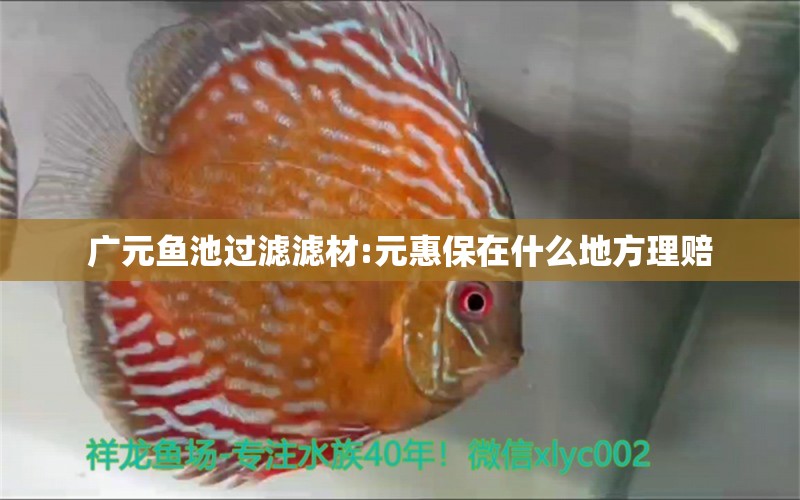 广元鱼池过滤滤材:元惠保在什么地方理赔 广州水族器材滤材批发市场