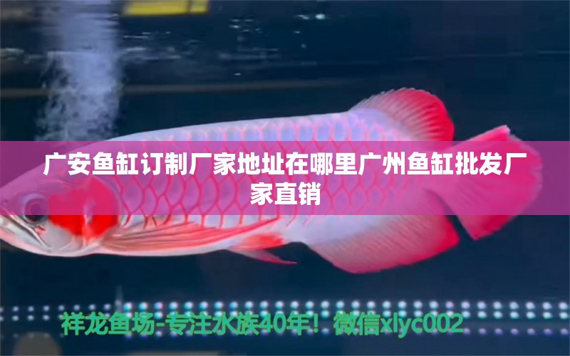 广安鱼缸订制厂家地址在哪里广州鱼缸批发厂家直销