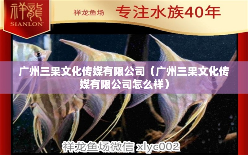 广州三果文化传媒有限公司（广州三果文化传媒有限公司怎么样） 全国水族馆企业名录