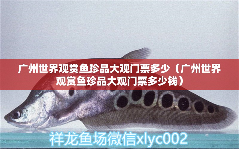 广州世界观赏鱼珍品大观门票多少（广州世界观赏鱼珍品大观门票多少钱） 观赏鱼市场（混养鱼）