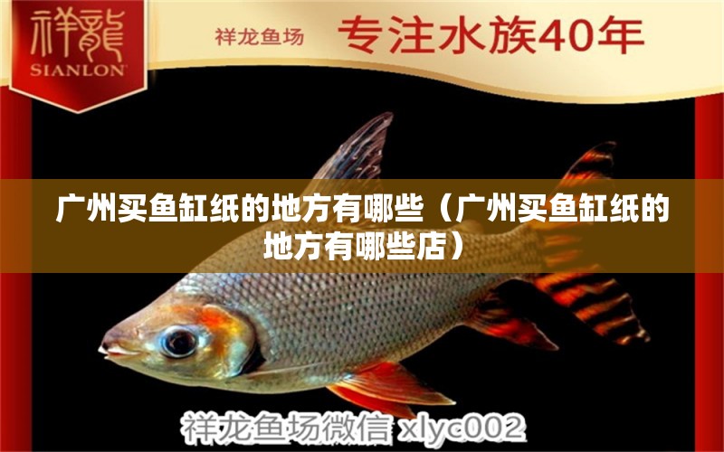 广州买鱼缸纸的地方有哪些（广州买鱼缸纸的地方有哪些店）