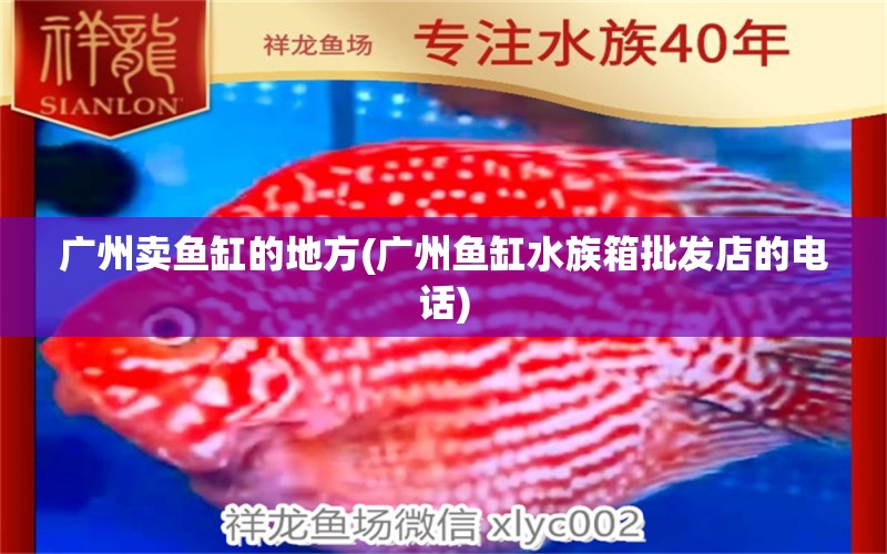 广州卖鱼缸的地方(广州鱼缸水族箱批发店的电话)