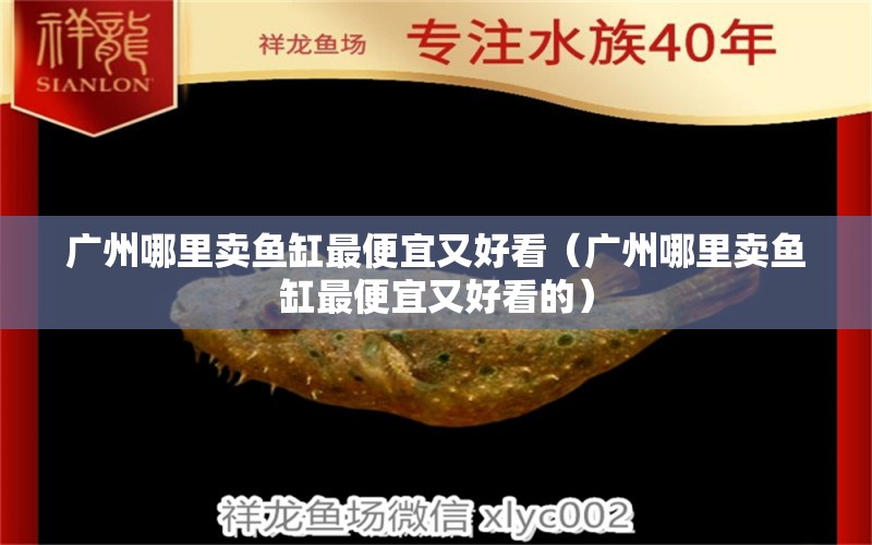广州哪里卖鱼缸最便宜又好看（广州哪里卖鱼缸最便宜又好看的） 祥龙水族医院