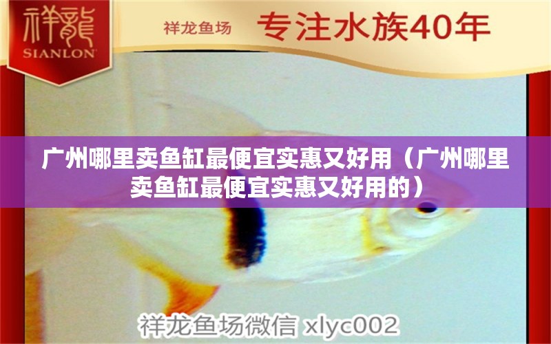 广州哪里卖鱼缸最便宜实惠又好用（广州哪里卖鱼缸最便宜实惠又好用的）
