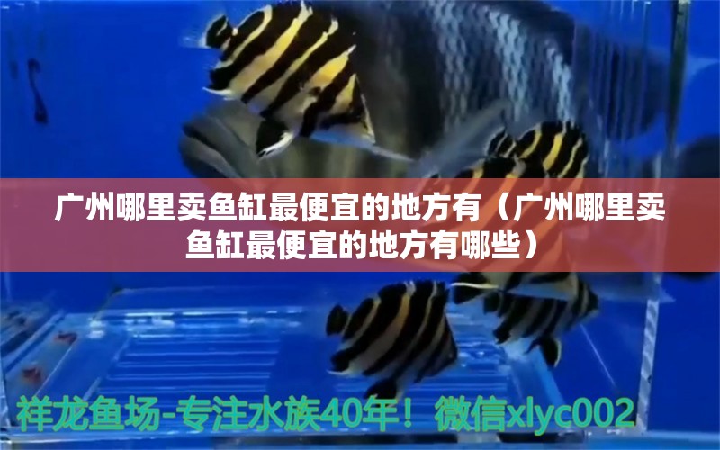 广州哪里卖鱼缸最便宜的地方有（广州哪里卖鱼缸最便宜的地方有哪些） 观赏鱼市场（混养鱼）