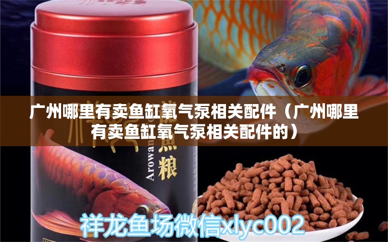 广州哪里有卖鱼缸氧气泵相关配件（广州哪里有卖鱼缸氧气泵相关配件的） 帝王迷宫