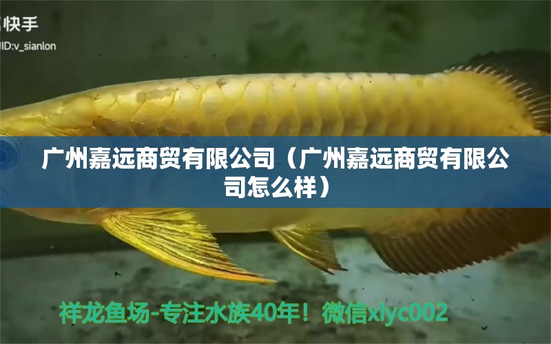 广州嘉远商贸有限公司（广州嘉远商贸有限公司怎么样） 全国水族馆企业名录