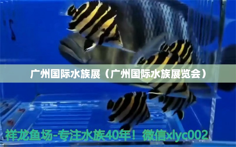 广州国际水族展（广州国际水族展览会）