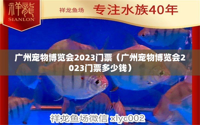广州宠物博览会2023门票（广州宠物博览会2023门票多少钱）