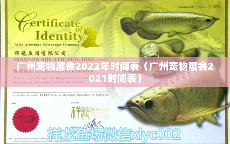 广州宠物展会2022年时间表（广州宠物展会2021时间表）
