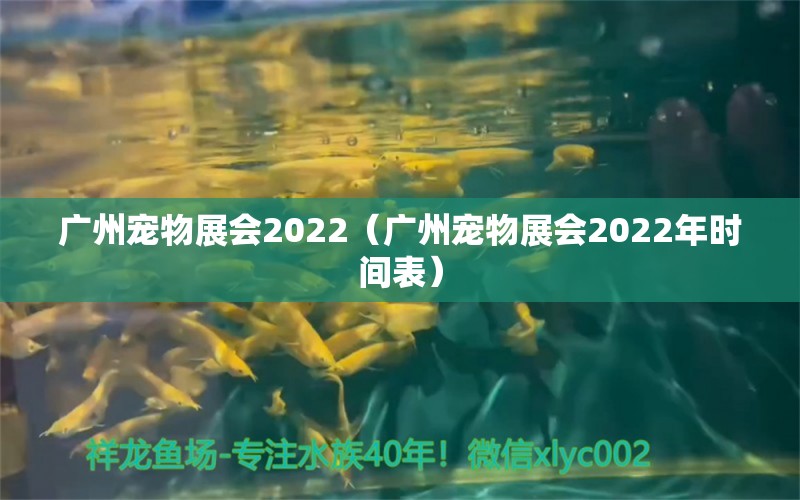 广州宠物展会2022（广州宠物展会2022年时间表）