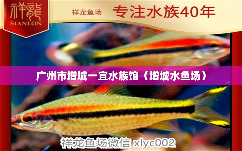 广州市增城一宜水族馆（增城水鱼场） 全国水族馆企业名录