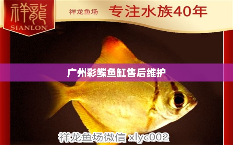 广州彩鲽鱼缸售后维护