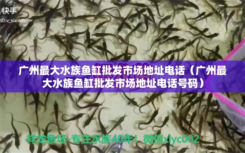 广州最大水族鱼缸批发市场地址电话（广州最大水族鱼缸批发市场地址电话号码）