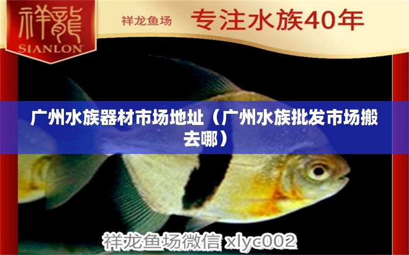 广州水族器材市场地址（广州水族批发市场搬去哪） 观赏鱼批发