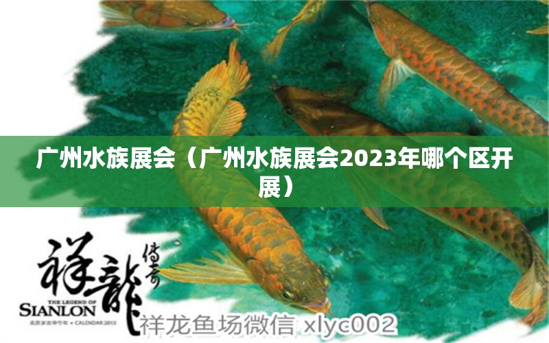 广州水族展会（广州水族展会2023年哪个区开展）