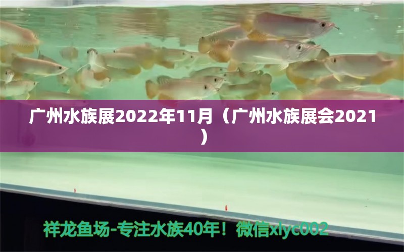 广州水族展2022年11月（广州水族展会2021）