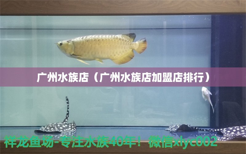 广州水族店（广州水族店加盟店排行）