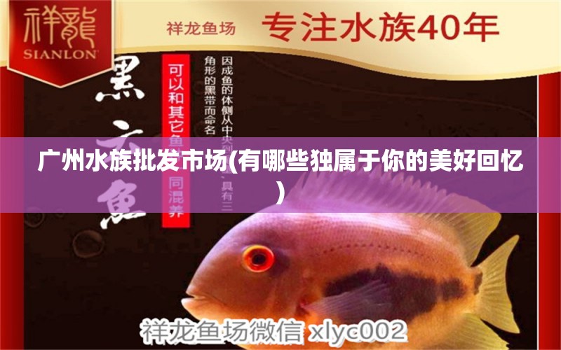 广州水族批发市场(有哪些独属于你的美好回忆) 观赏鱼水族批发市场