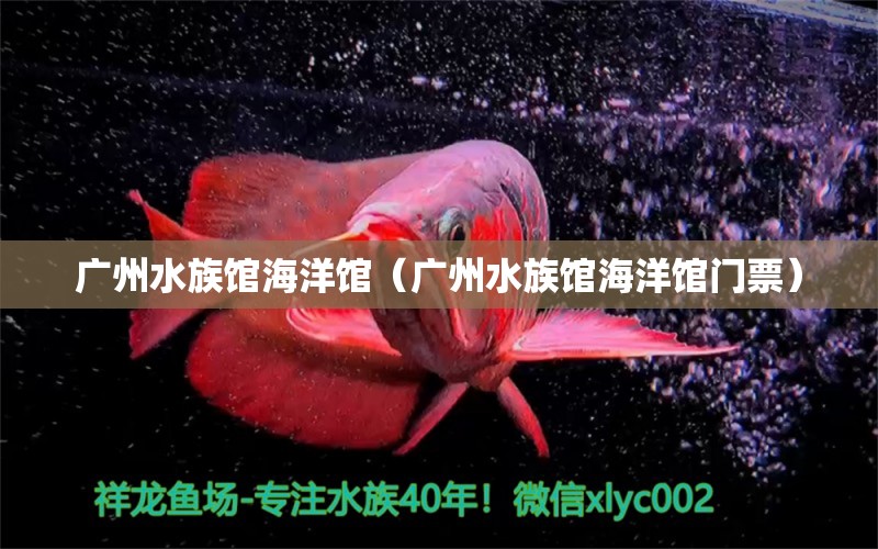 广州水族馆海洋馆（广州水族馆海洋馆门票） 广州水族批发市场