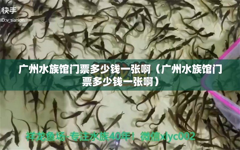 广州水族馆门票多少钱一张啊（广州水族馆门票多少钱一张啊） 广州水族批发市场