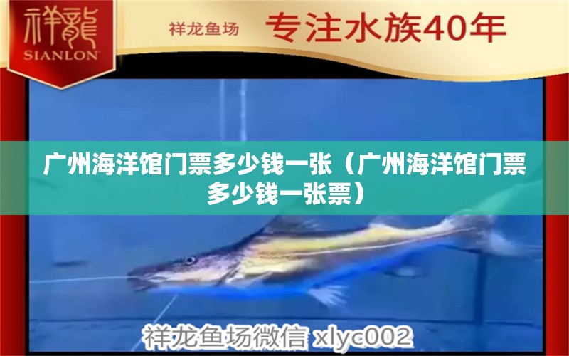 广州海洋馆门票多少钱一张（广州海洋馆门票多少钱一张票） 广州水族批发市场
