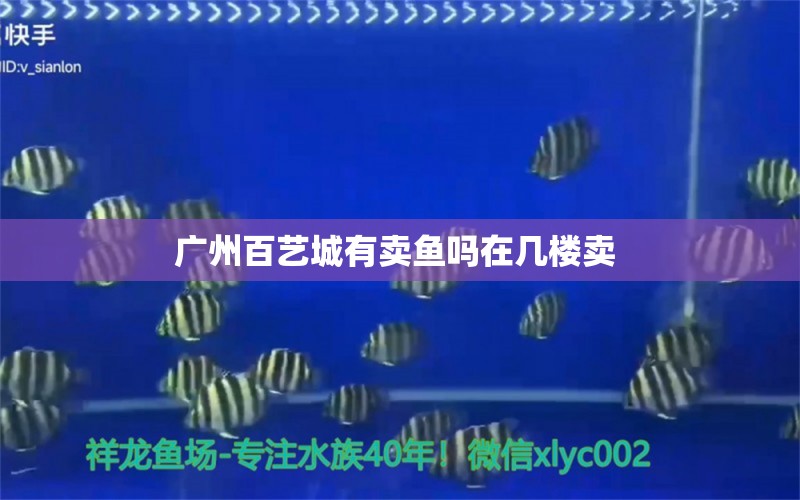 广州百艺城有卖鱼吗在几楼卖 