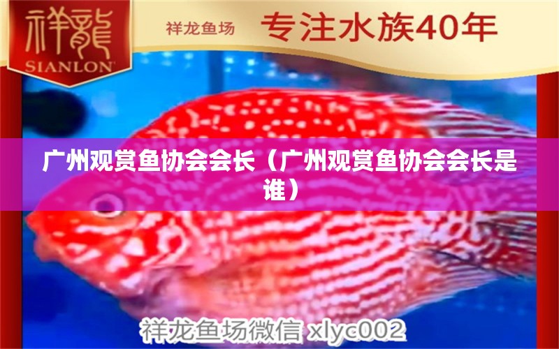 广州观赏鱼协会会长（广州观赏鱼协会会长是谁） 广州水族批发市场