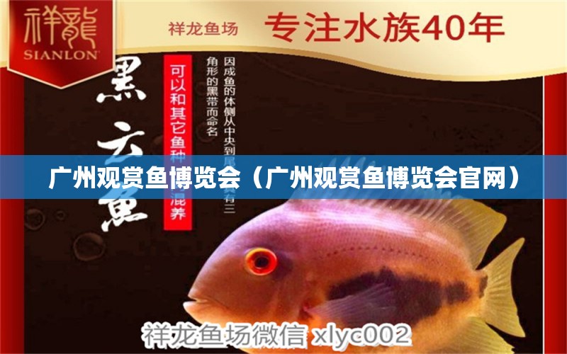 广州观赏鱼博览会（广州观赏鱼博览会官网）