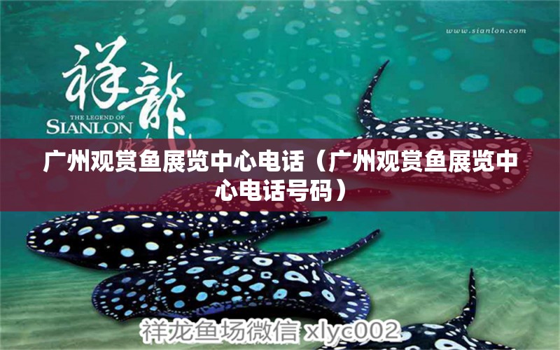 广州观赏鱼展览中心电话（广州观赏鱼展览中心电话号码）