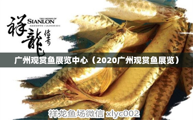 广州观赏鱼展览中心（2020广州观赏鱼展览）