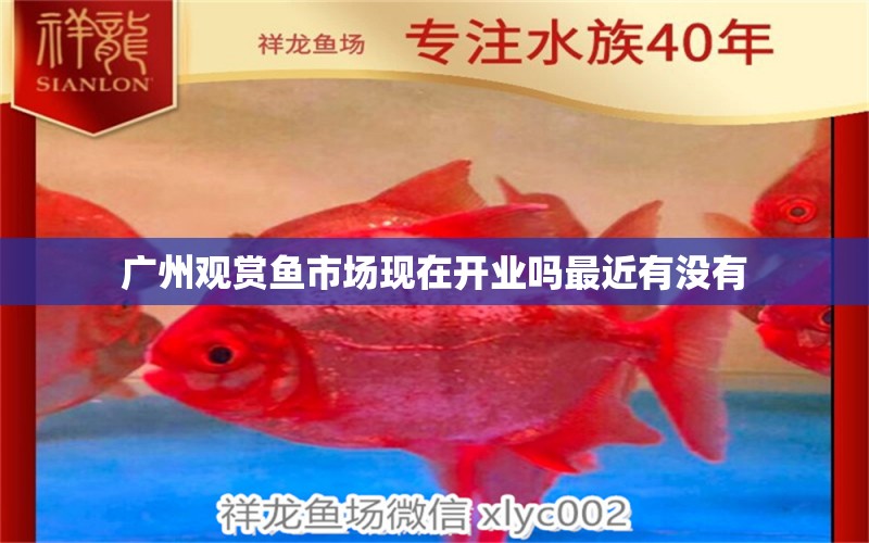 广州观赏鱼市场现在开业吗最近有没有 观赏鱼市场（混养鱼）