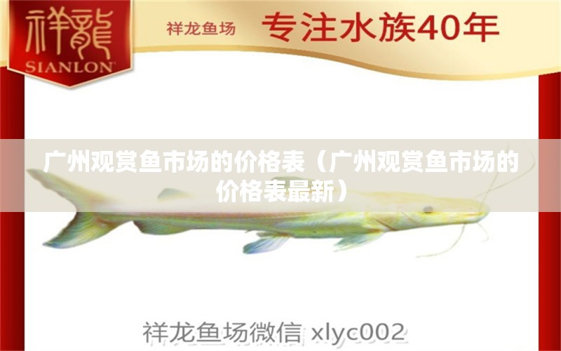 广州观赏鱼市场的价格表（广州观赏鱼市场的价格表最新） 观赏鱼市场（混养鱼）