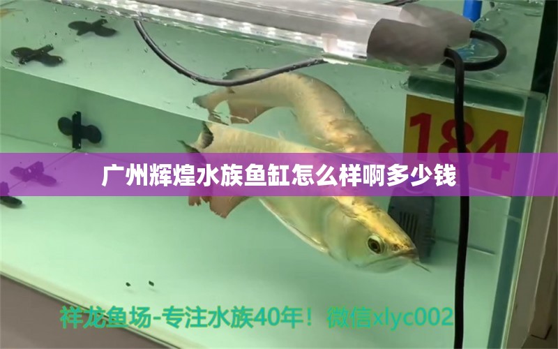 广州辉煌水族鱼缸怎么样啊多少钱 祥龙鱼场