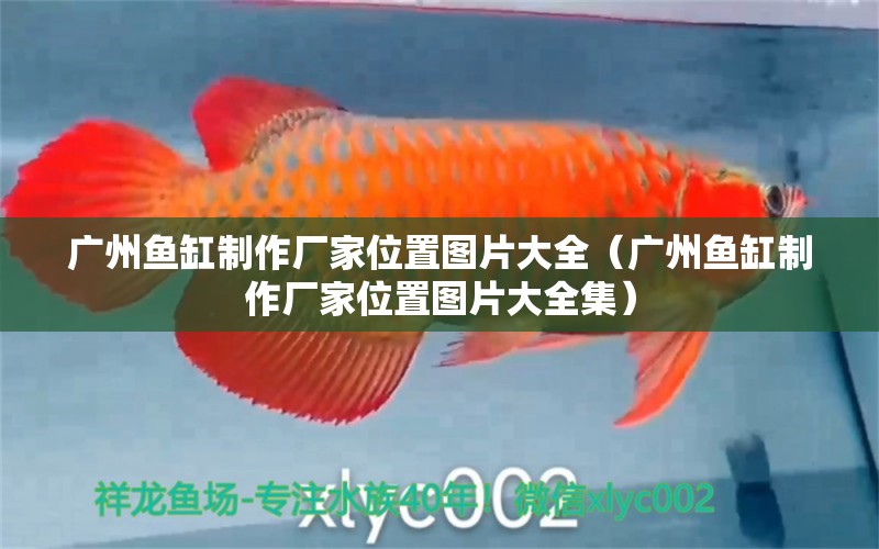 广州鱼缸制作厂家位置图片大全（广州鱼缸制作厂家位置图片大全集）