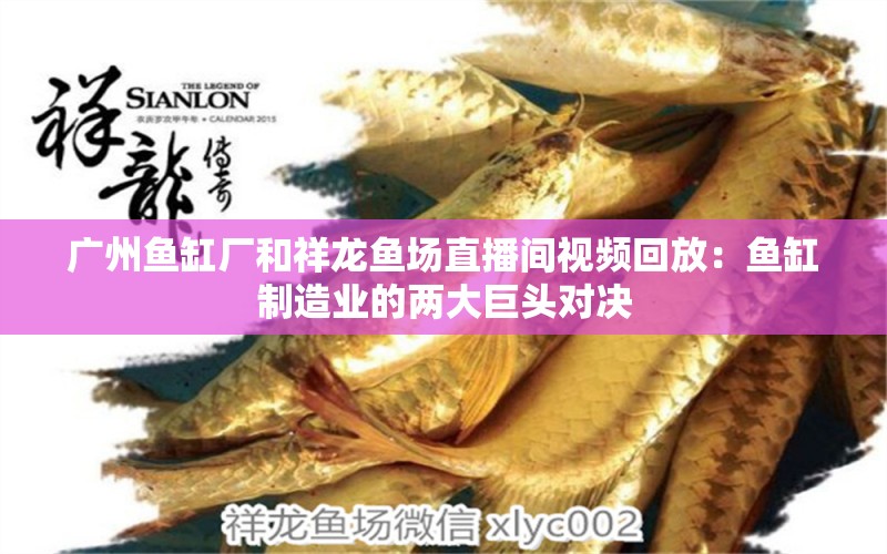 广州鱼缸厂和祥龙鱼场直播间视频回放：鱼缸制造业的两大巨头对决 祥龙鱼场