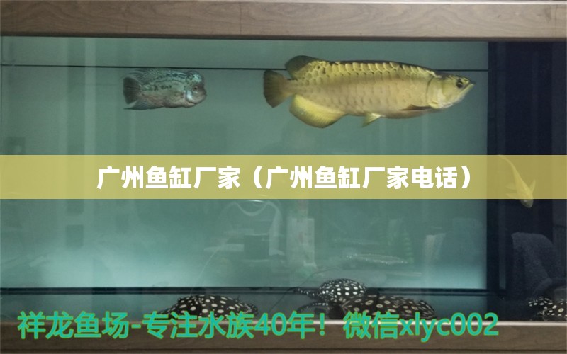 广州鱼缸厂家（广州鱼缸厂家电话）