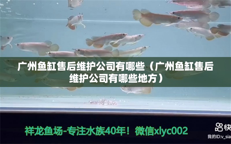 广州鱼缸售后维护公司有哪些（广州鱼缸售后维护公司有哪些地方）