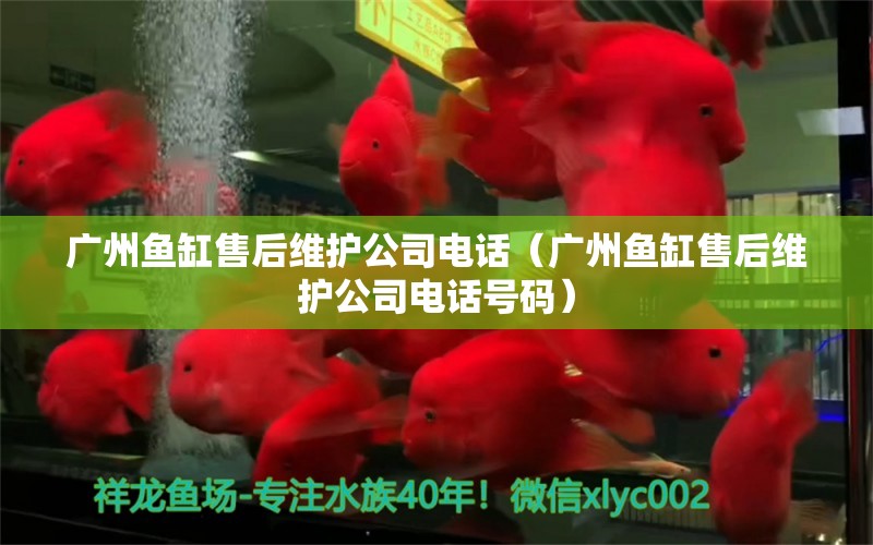 广州鱼缸售后维护公司电话（广州鱼缸售后维护公司电话号码） 其他品牌鱼缸