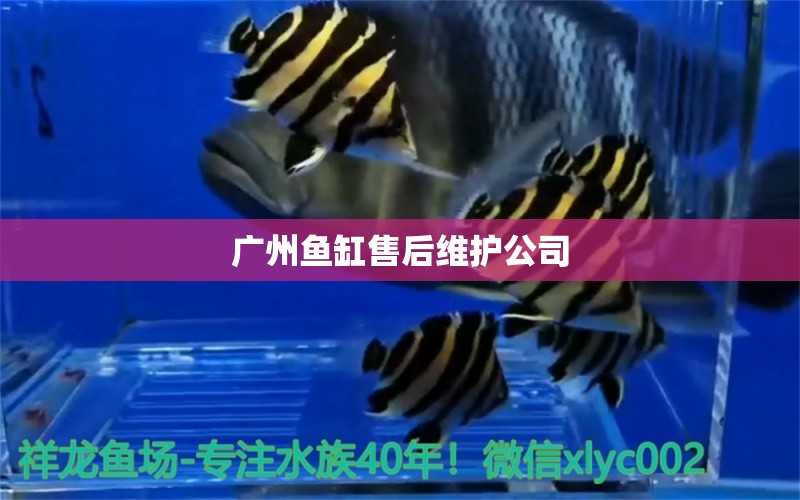 广州鱼缸售后维护公司