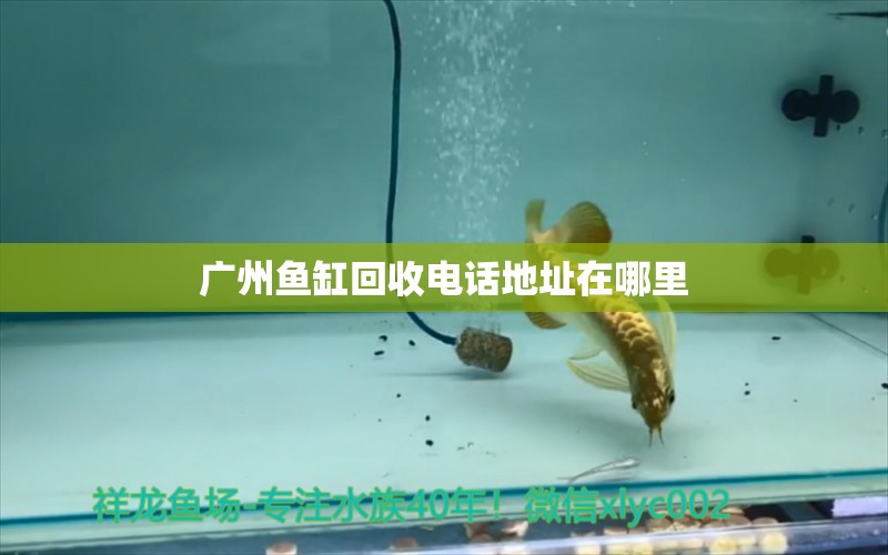 广州鱼缸回收电话地址在哪里