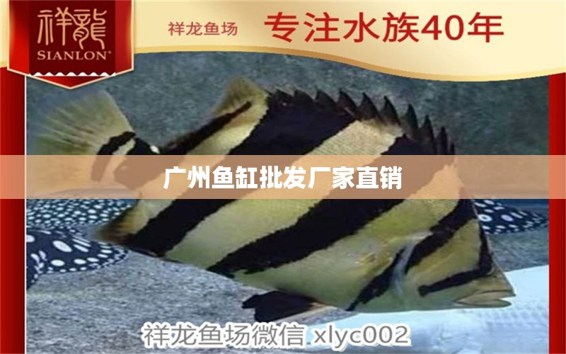 广州鱼缸批发厂家直销 其他品牌鱼缸