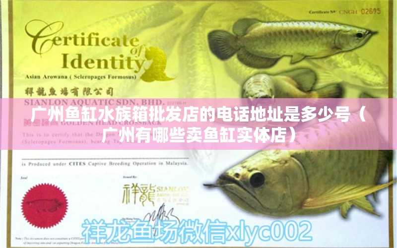 广州鱼缸水族箱批发店的电话地址是多少号（广州有哪些卖鱼缸实体店）