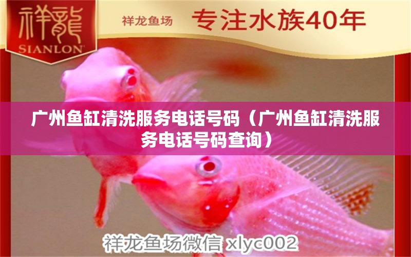 广州鱼缸清洗服务电话号码（广州鱼缸清洗服务电话号码查询） 其他品牌鱼缸