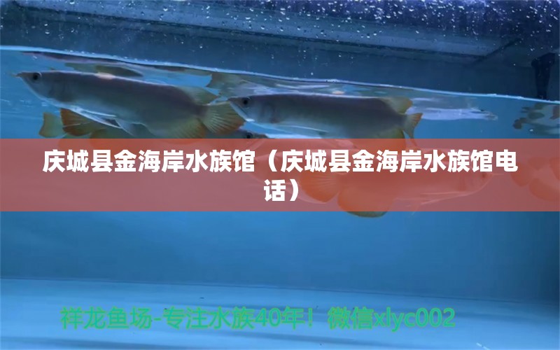 庆城县金海岸水族馆（庆城县金海岸水族馆电话） 全国水族馆企业名录