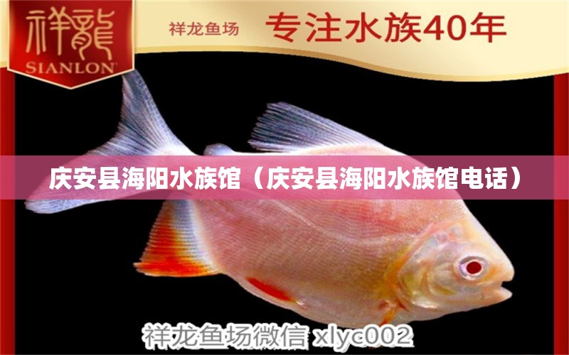 庆安县海阳水族馆（庆安县海阳水族馆电话） 全国水族馆企业名录