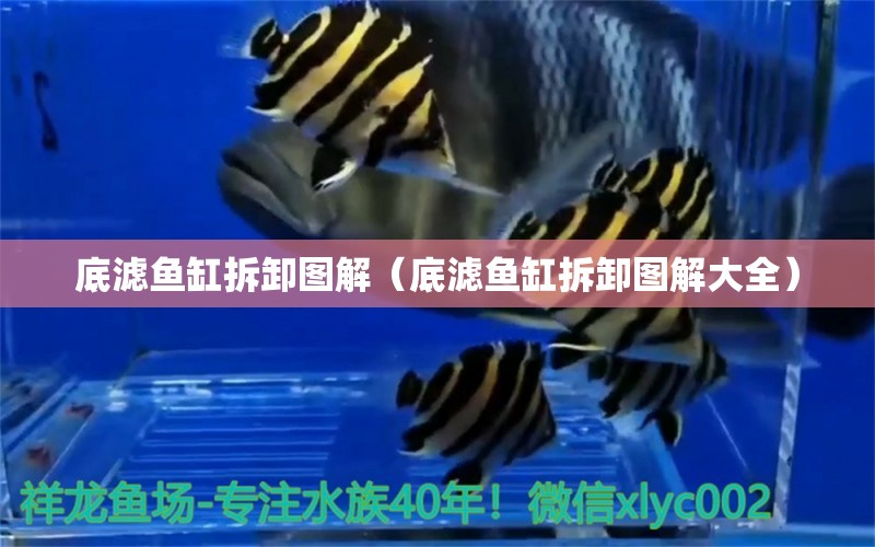 底滤鱼缸拆卸图解（底滤鱼缸拆卸图解大全） 广州观赏鱼鱼苗批发市场