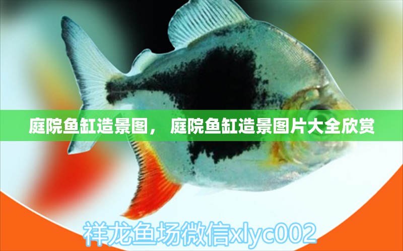庭院鱼缸造景图， 庭院鱼缸造景图片大全欣赏 广州水族器材滤材批发市场